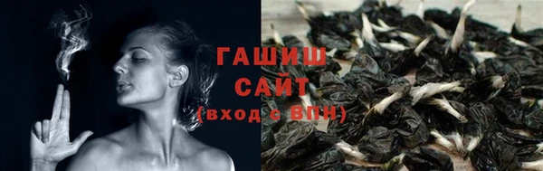 прущие грибы Абдулино