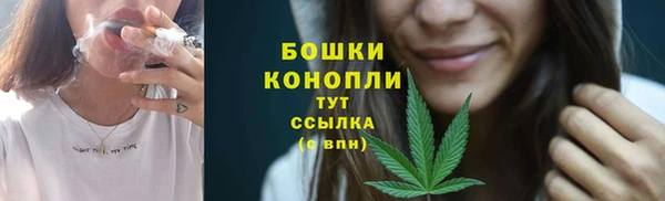 ПСИЛОЦИБИНОВЫЕ ГРИБЫ Покачи