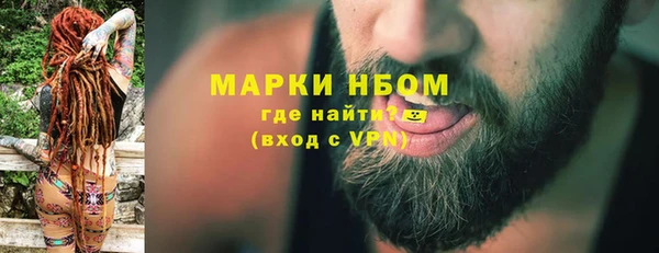 прущие грибы Абдулино