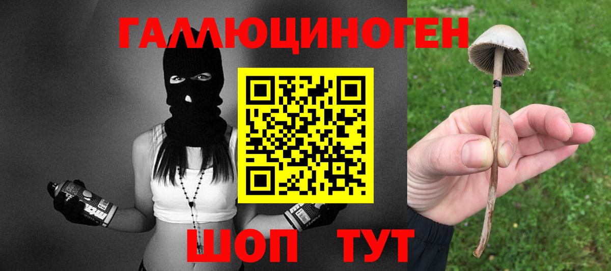 Белогорск  Псилоцибиновые грибы Cubensis  Вход с VPN 